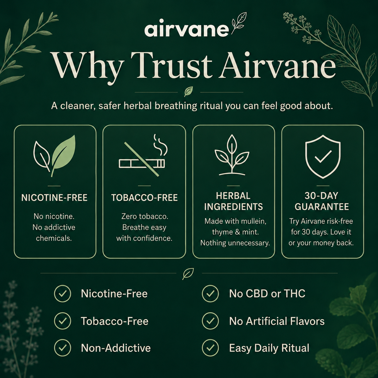 AIRVANE CLEARBREATH™